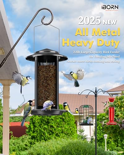 Bird Feeders for Outdoors