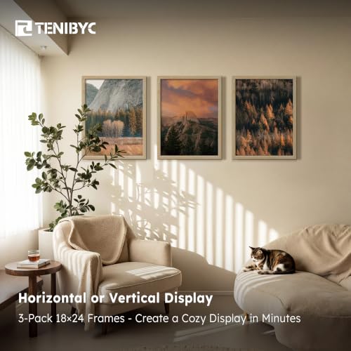 18x24 Poster Frame (3 Count)