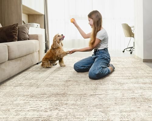 6x8 Area Rug Living Room Rugs