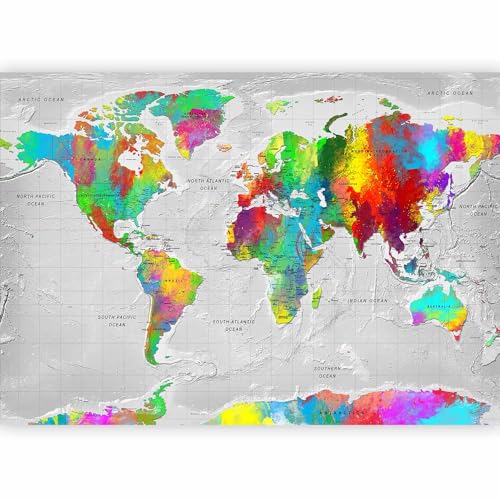 Wall Mural World Map 173x124 in (149.51 Sq Ft)