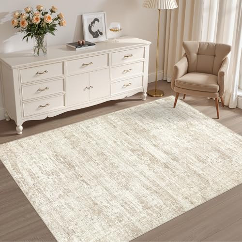 4x6 Area Rug Living Room Rugs