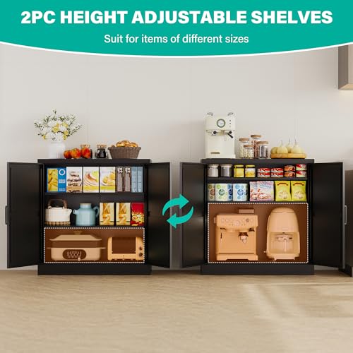 Black Storage Cabinet with Doors and Adjustable Shelves