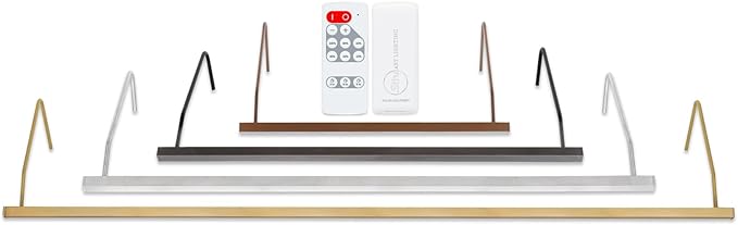 Situ Lighting: Plug-in Vision Series Remote Controlled LED Art and Picture Light