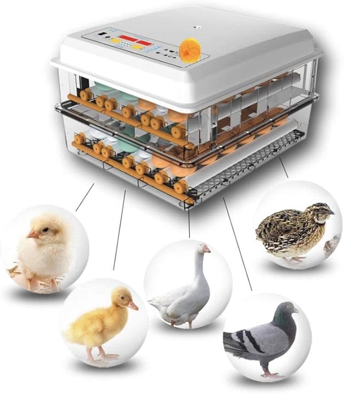 Digital Incubatores,Egg Incubator with Automatic Turning Function, Digital Automatic Hatcher with Temperature Control,for Egg Duck Egg Bird Egg Turkey Eggs Home, White-45 Egg