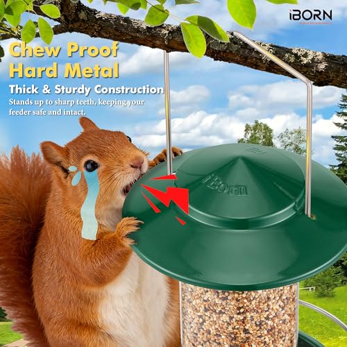 Bird feeders for Outdoors Metal Chew Resistant