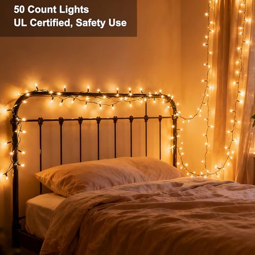 Clear Christmas Lights (50 Count)