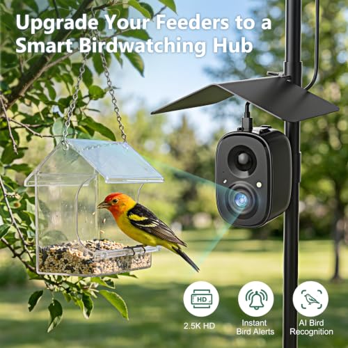 Smart Bird Camera Solar Powered with Pole for Feeder