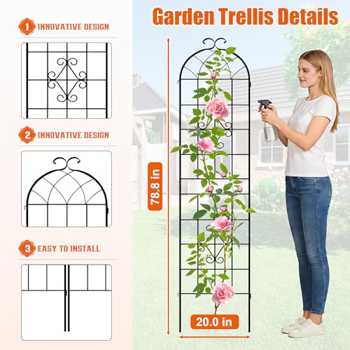 78.4 x 80in Rustic Iron Arch Decoration Garden Trellis with Black Metal Coating (4 Count)