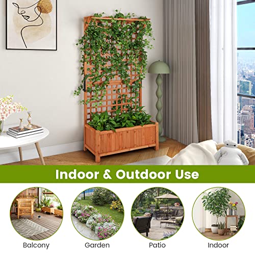 2 Pcs Raised Garden Bed with Trellis (2 Count)