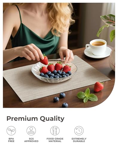Beige White Placemats Set of 4 (4 Count)