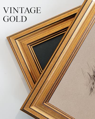 Vintage Gold Framed Wall Art for Living Room