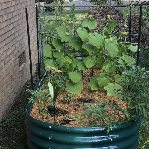 6 Pack 8x4x1FT Galvanized Raised Garden Bed Kit Oval Metal Ground Planter Box Outdoor Bottomless Planter Raised Beds for Vegetables Flowers Herbs Fruits