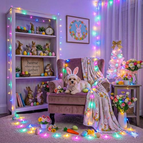 40FT 120 LED String Lights Indoor