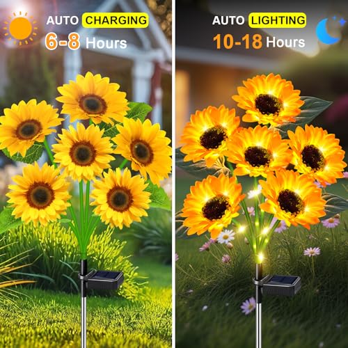 Solar Lights Outdoor Garden Decor 4 Pack (4 Count)