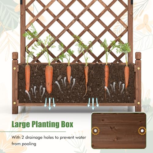 2 60” Raised Garden Bed with Trellis