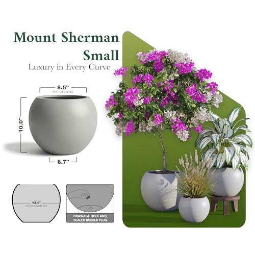 Mount Sherman 12.6" D x 10'' H