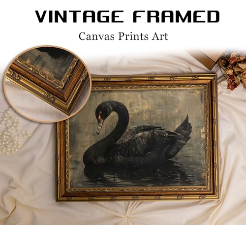 Vintage Gold Framed Black Swan Wall Art