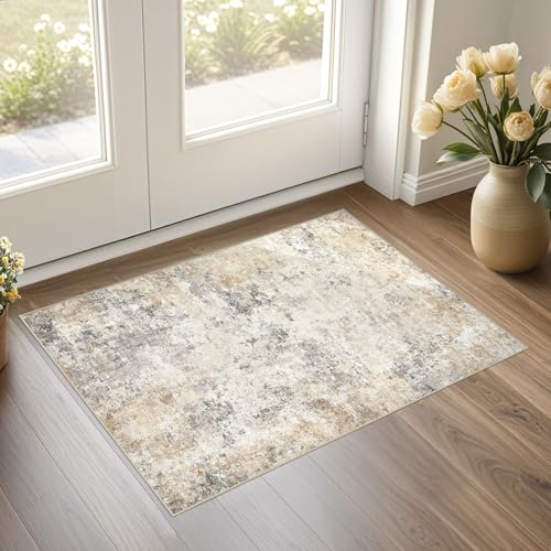 2x3 Entryway Area Rug (2 Sq Ft)