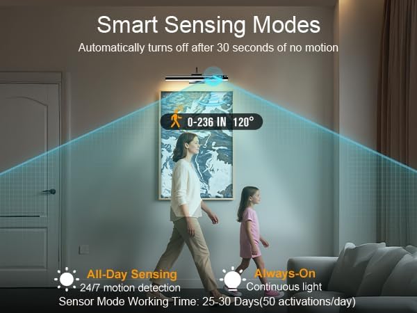 15.7'' Picture Lights for Wall