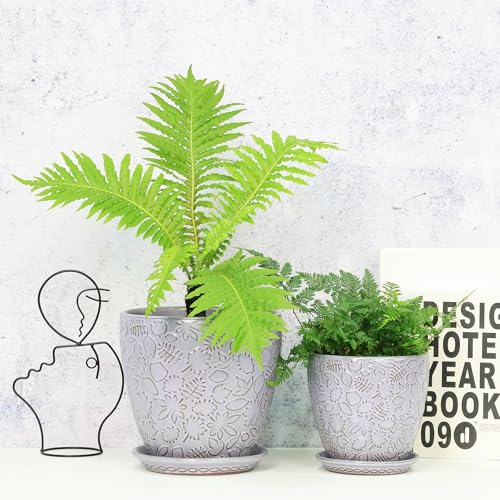 8 Inch + 6 Inch Retro Ceramic Planter Set of 2 with Drainage Hole and Saucer for Multiple Plants (2 Count)