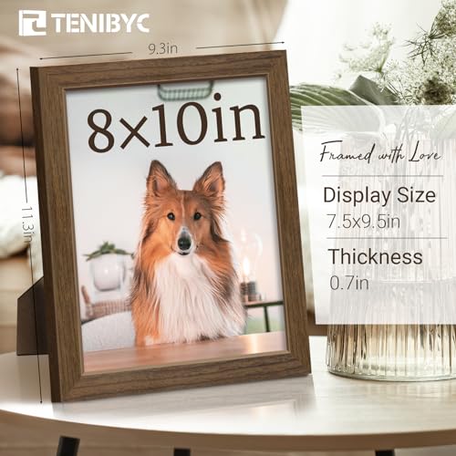 8x10 Picture Frame 3 Pack (3 Count)