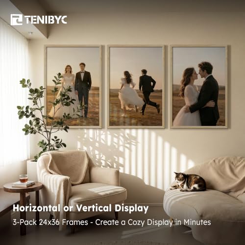 24x36 Poster Frame (3 Count)