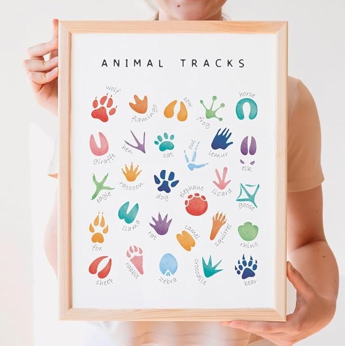 OZCONO Animal Tracks Learning Poster, Vibrant Wildlife Chart Kids, Preschool Wall Decor Art, Homeschool Education Guide (Unframed) (11x14)