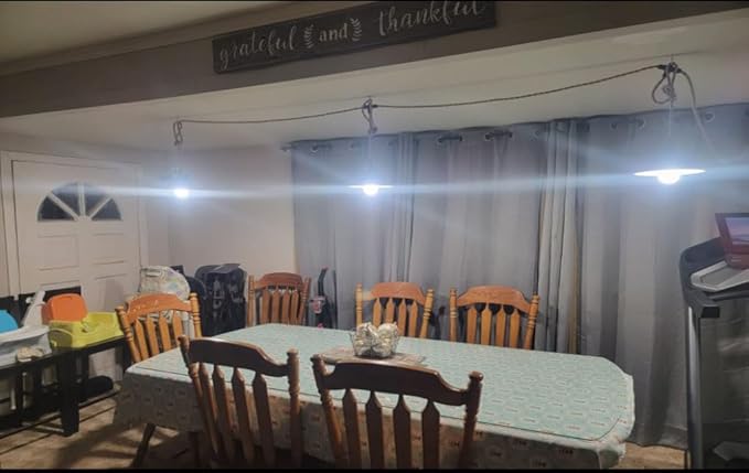 3-Light Hanging Light with Plug in Cord, Plug in Pendant Light 22ft Hemp Rope