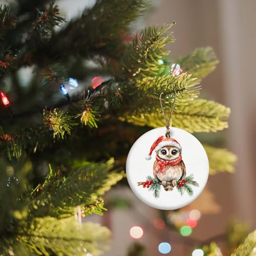 Owl Winter Ornament
