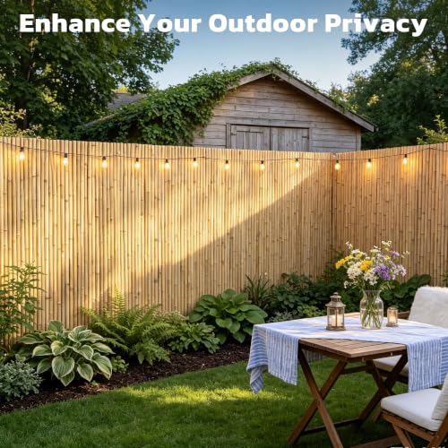 Natural Rolled Bamboo Privacy Fence (32 Sq Ft)