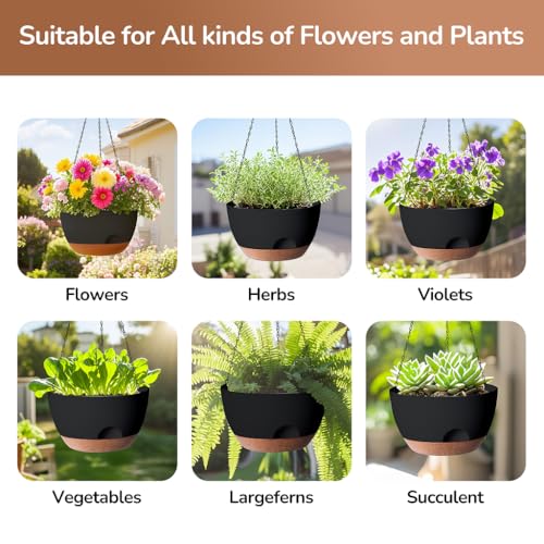 Hanging Planter for Indoor Plants (2 Count)