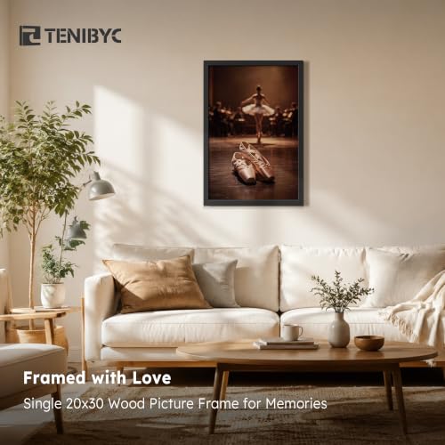 20x30 Poster Frame