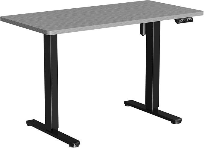 JOY worker Electric Height Adjustable Standing Desk, Grey Whole Piece 48 x 24 Inches Sit Stand Up Desk with Memory Controller, Quick Assembly Standing Workstation for Home Office