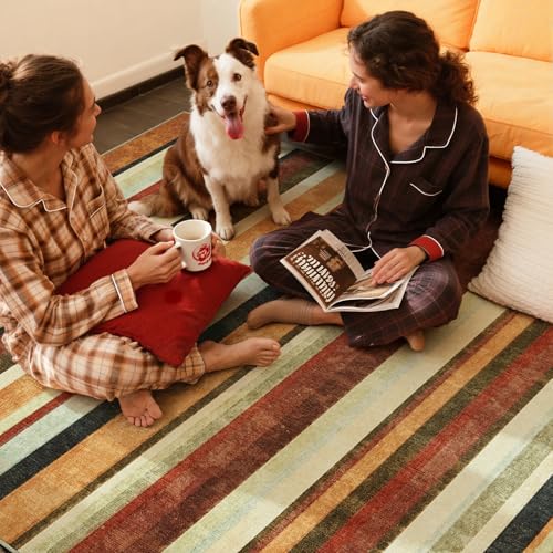 5x7 Area Rug Modern Striped Washable Living Room Rug (35 Sq Ft)