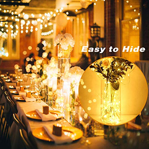 16 Pack Fairy Lights Battery Operated (16 Count)