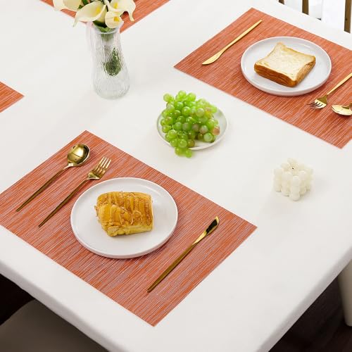 Orange Placemats Set of 12 (12 Count)