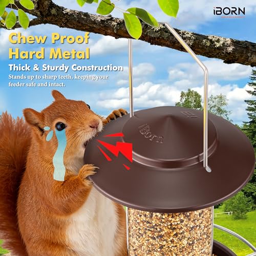 Bird feeders for Outdoors Metal Chew Resistant
