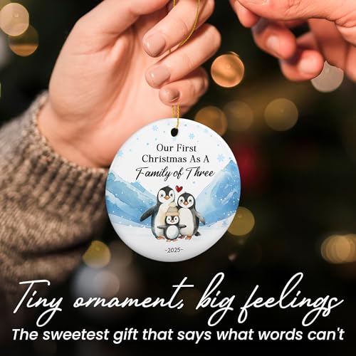 Baby's First Christmas Ornaments 2025