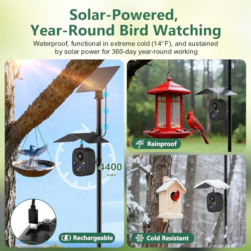 Smart Bird Camera Solar Powered with Pole for Feeder