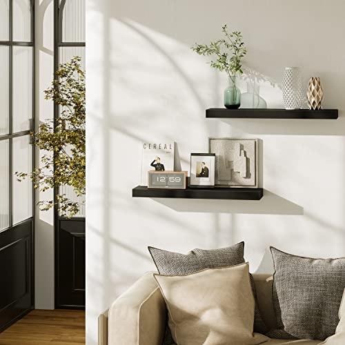 Floating Wall Shelves 24 x 6 Inch (2 Count)
