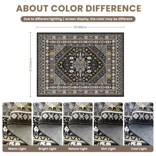 8x10 Area Rugs for Living Room (80 Sq Ft)