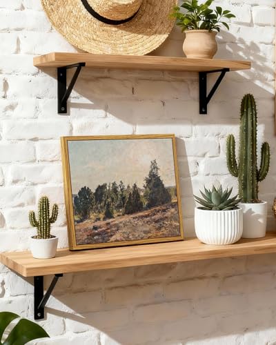 Framed Canvas Wall Art