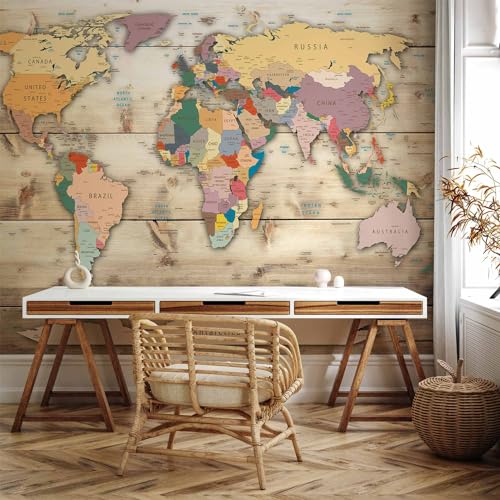 Wall Mural World Map 173x124 in (149.51 Sq Ft)