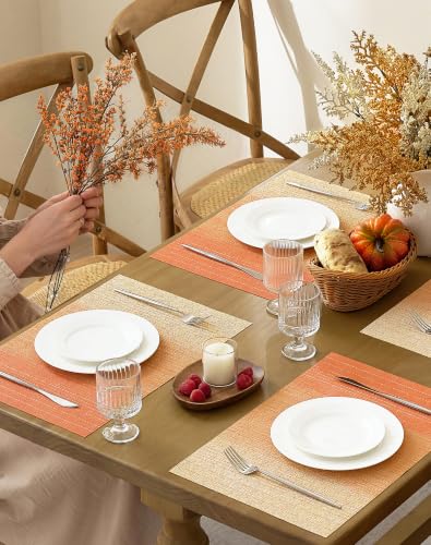 Woven Vinyl Fall Placemats Set of 24 (24 Count)
