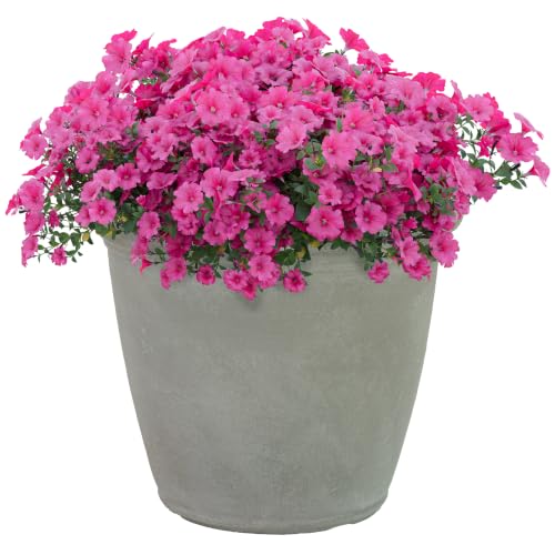 Sunnydaze Anjelica 15.25'' Large Plastic Planter Pot for Plants