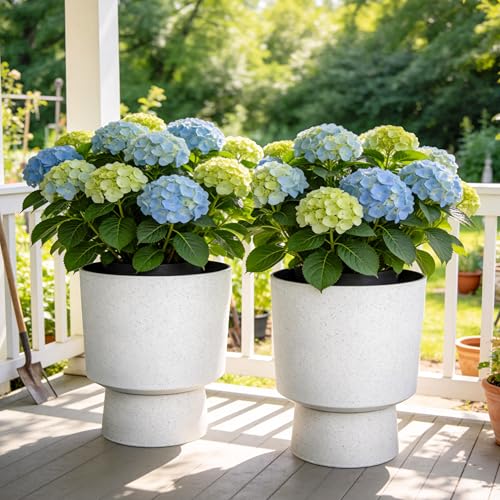 Autodaya 16.75" Urn