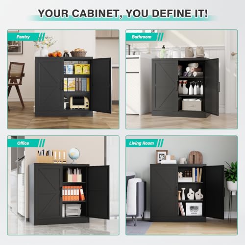 Black Storage Cabinet with Doors and Adjustable Shelves