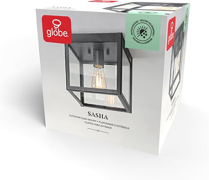 GLOBE Electric 60000020 1-Light Outdoor Flush Mount Ceiling Light Fixture