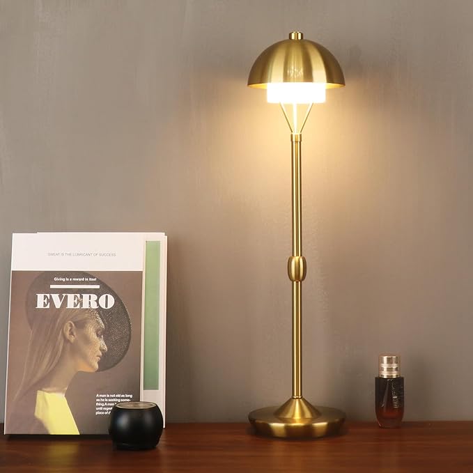 Modern Table Lamp Cordless Portable Desk Lamp, 2700K Stepless Dimming