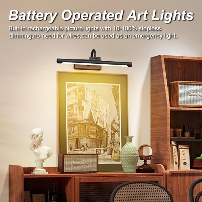 Aipsun 15.7" Black Picture Lights